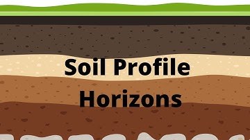 Soil Profile and Soil Horizons