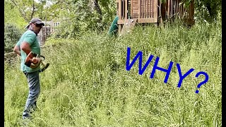 NO CHOICE! Extremely Overgrown Lawn has to be String Trimmed ( Weed Whacked Weedeated )