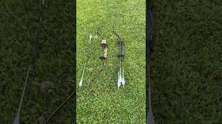 Centaur Supercurves The Super Snake Vs The Black Dragon