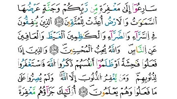 (مكررة) حفظ سورة آل عمران(41) للقارئ الشيخ محمد سايد