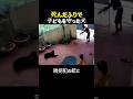 死んだふりで子どもを守った犬