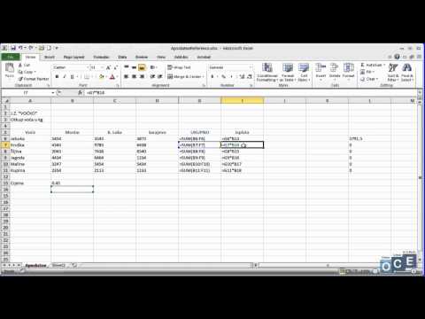 Šta su to apsolutne reference (Excel 2010)