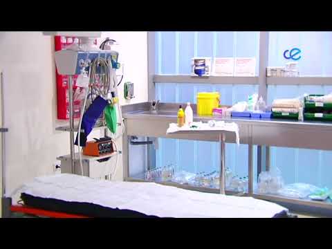 El Ingesa hace balance de su gestión por el Día Mundial de la Salud