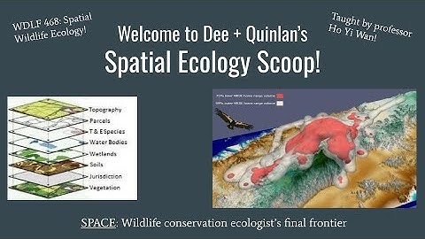 Week 1: Hello and Intro to Spatial Wildlife Ecology!