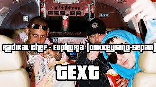 Radikal Chef - Euphoria (Dokkeytino-Separ) Text/lyrics