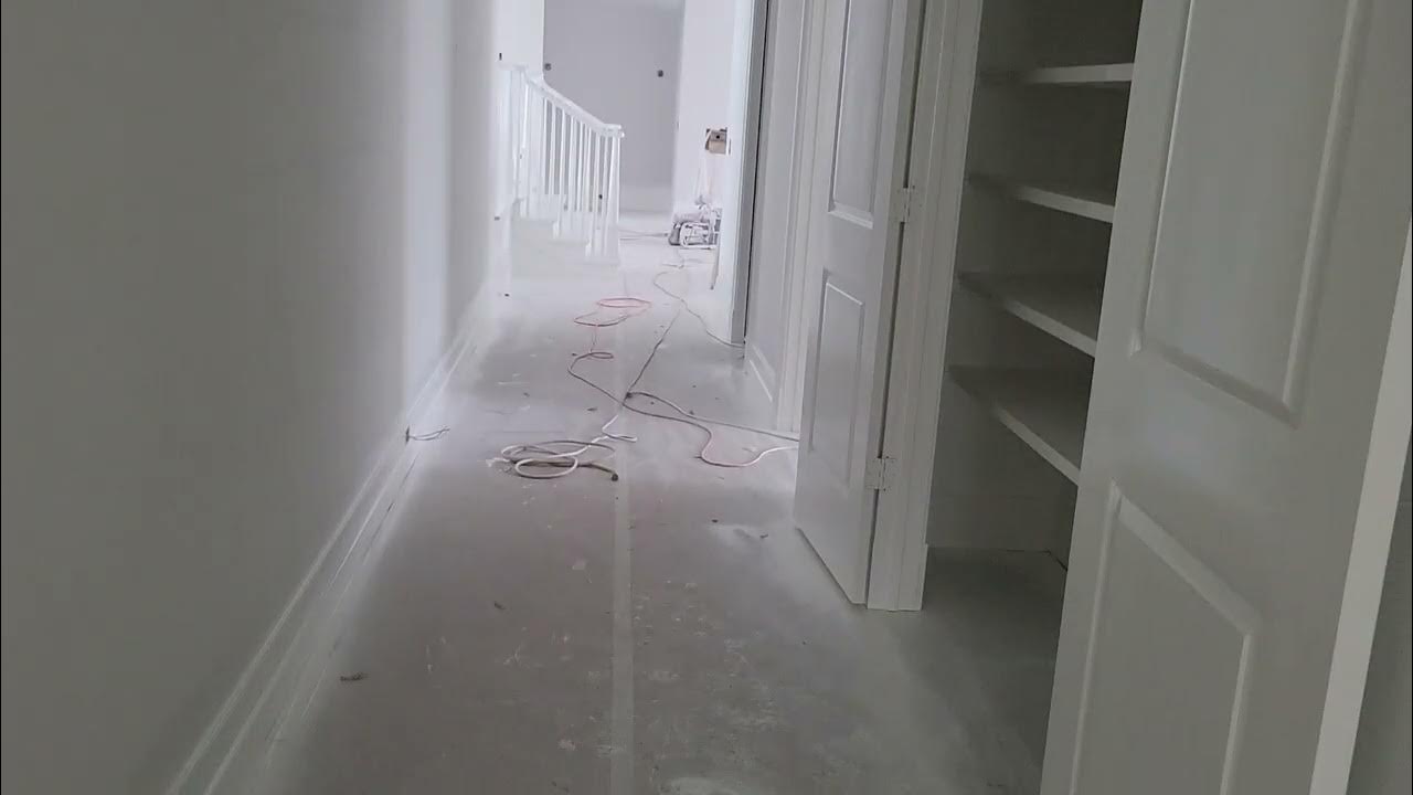 JOSE H HERNANDEZ CHACON EL LEON DE LA PINTURA YouTube