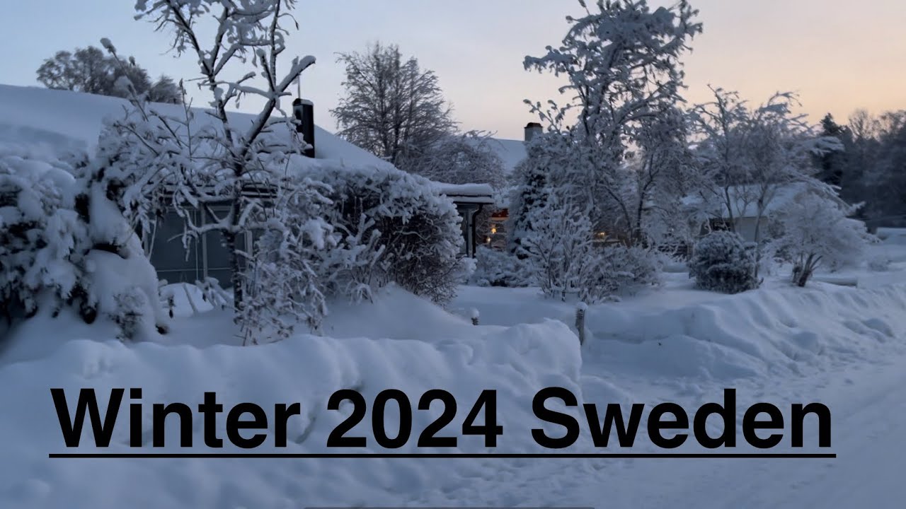 36 in north of Sweden Daily life in cold North of Sweden Sana Vlog