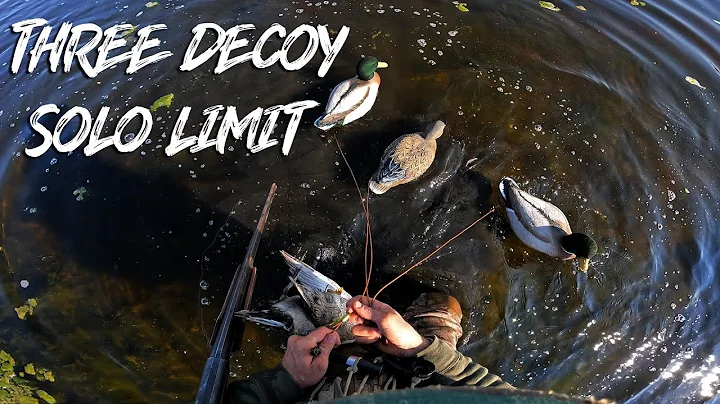 Three Decoys Solo Hunt - Beau Hunting