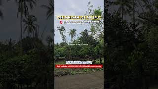 389 sqm Residential Farm Lot for Sale Philippines