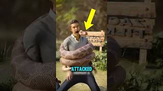 How Constrictor Snakes Actually Kill Its Not What You Think