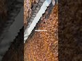 😱🔥 Mechanic Trick 😍🔥 #mechanic #reelsvideo #automechanic #automobile #engineering #mechanic