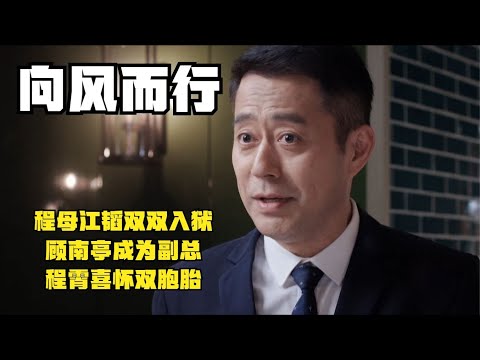 向風而行：程母江韜雙雙入獄，顧南亭成為副總，程霄喜懷雙胞胎