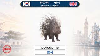 한국어 — 영어 Korean – English  Lesson 28 – Speed： Animals — 동물 screenshot 1