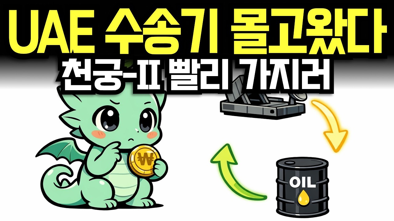 UAE는 왜 수송기까지 보내 천궁-Ⅱ를 서둘렀나 | 경제학 | 천궁