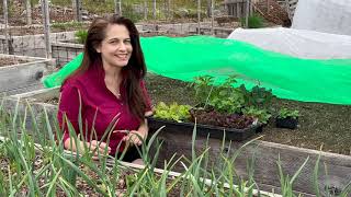 Hardening Off Seedlings With Niki Jabbour