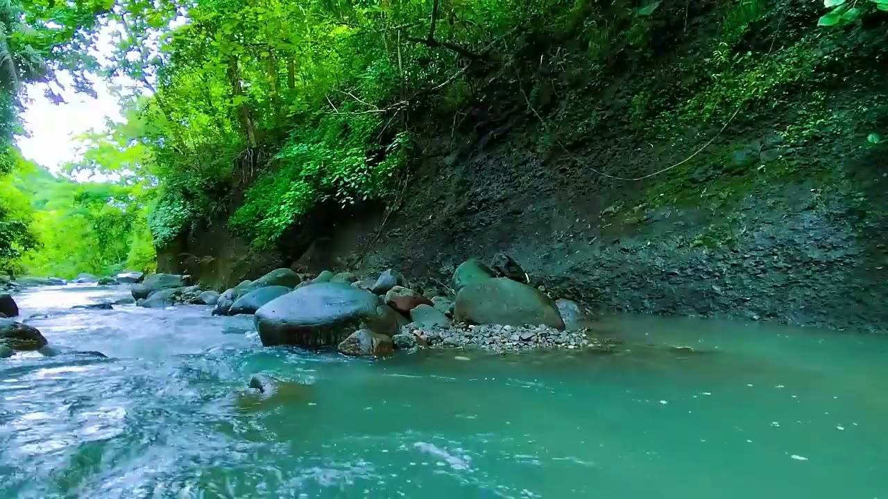 Nature's Calm - Sleep Like a Baby – This Forest Stream Sound Is a Total Game Changer - Deep Sleep