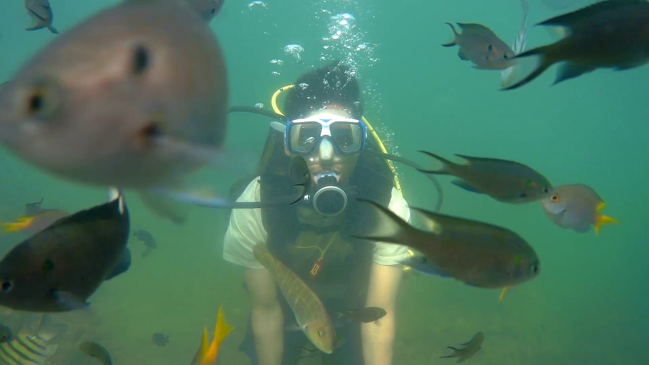 Cheapest Scuba Diving Rs.400 at Dandi Beach, Goa YouTube