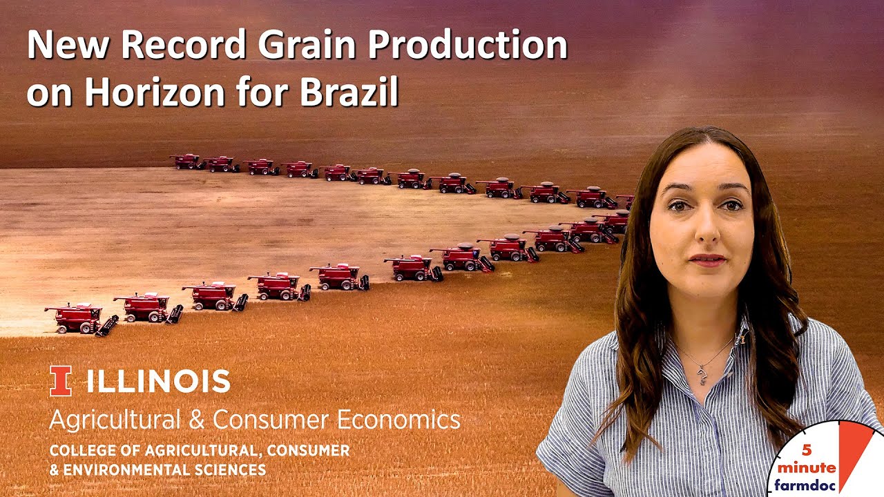 Crescimento em 2025 e desafios para 2026