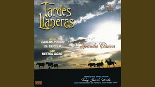 Video thumbnail of "Carlos Pulido & Nestor Rozo - Sierra de la Macarena"