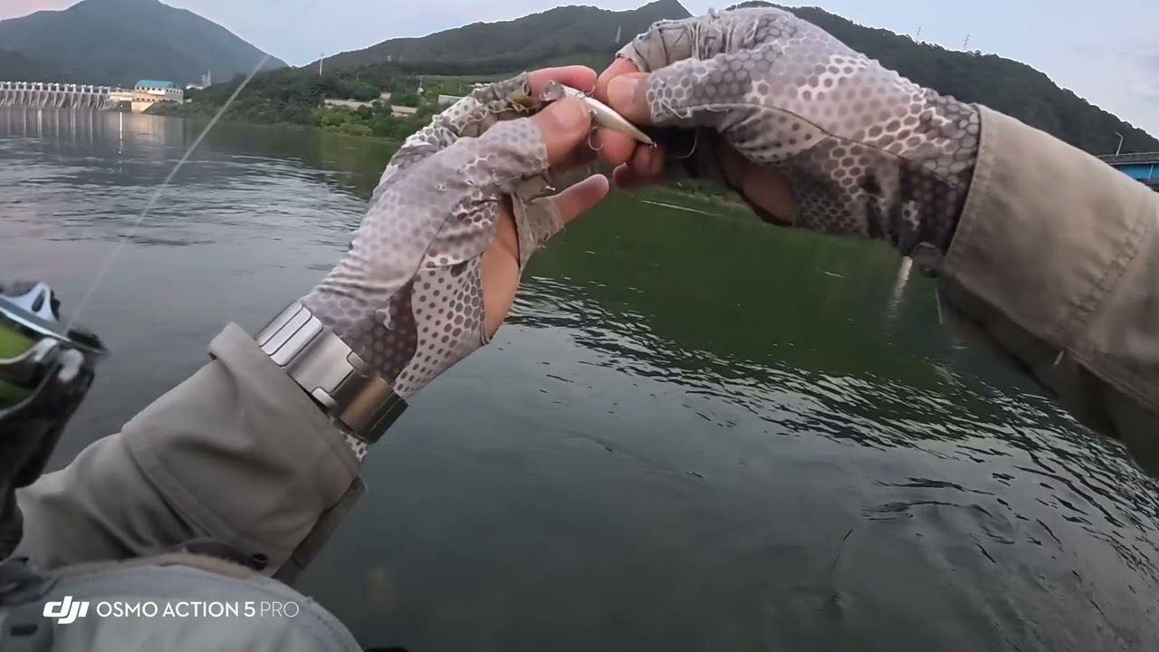 북한강 쏘가리낚시중 피딩타임에 방류를 안한다고??