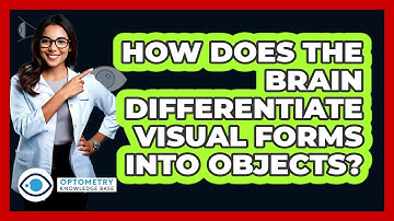 How Does The Brain Differentiate Visual Forms Into Objects?