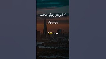 سورة التين القارئ سعد الغامدي