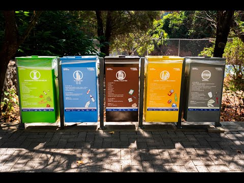 La ONU reconoce programa de la UNAM para disminuir basura