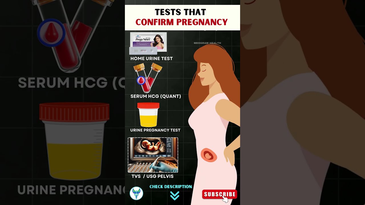 Which Test Confirms Pregnancy Fast 