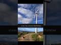 class Dog extends WindTurbine 💀 only programmers will get this #funny #funnymoment #oop #codingmemes