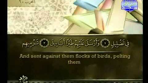 Surat Al Fil from The Holy Quran سورة الفيل كاملة الشيخ أحمد العجمي