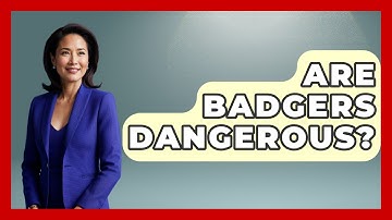 Are Badgers Dangerous? - Exploring Campgrounds