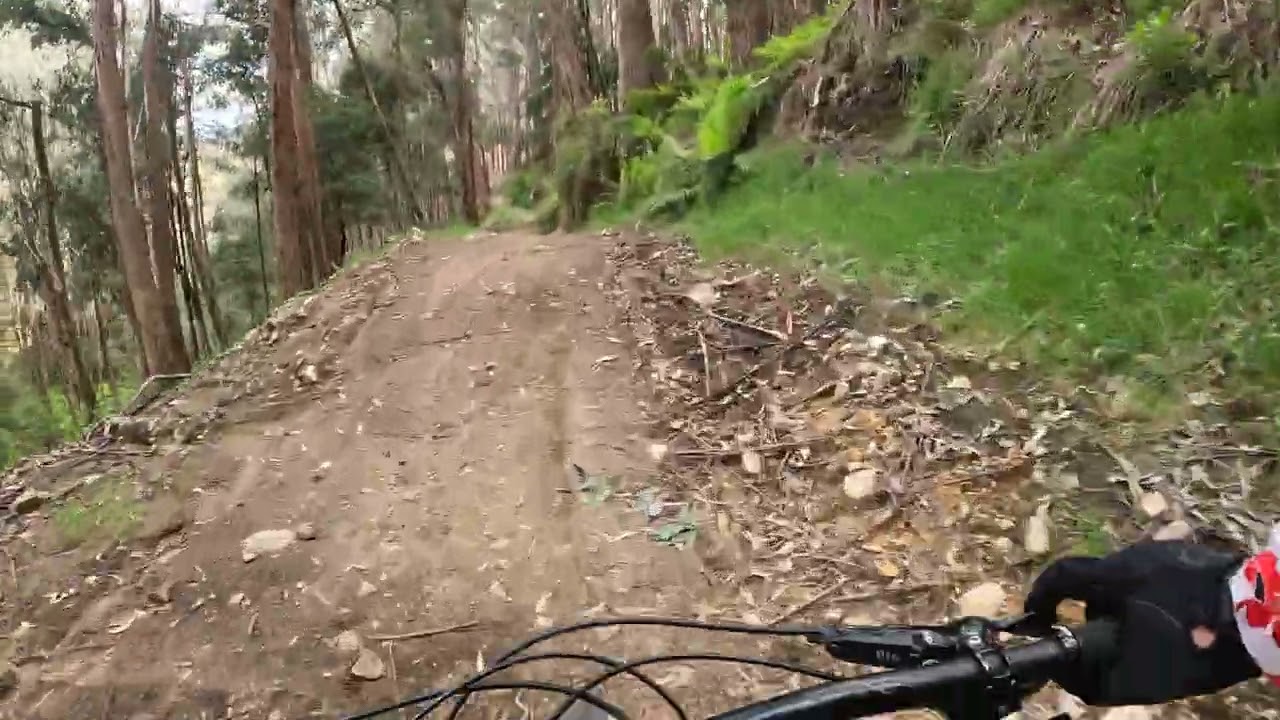 Mt  Buller MTB Delatite river trail 2 of 6
