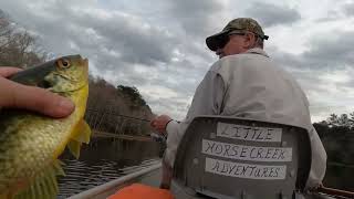 Blue Gill Bream and Red Ear Shellcracker Pond Fishing - Tasty Catch! by Little Horse Creek Adventures 174 views 1 year ago 28 minutes