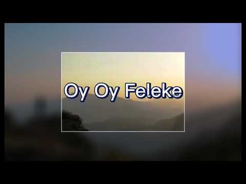 Şırnaklı gençlerden - Oy Oy Felekê