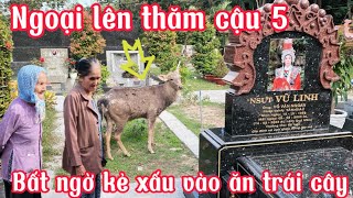 Bất ngờ bà ngoại lên thăm cậu Phát hiện kẻ xấu lẻn vào mộ ăn trái cây của cậu 5