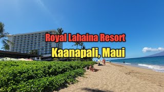 Quick Tour of Royal Lahaina Resort Kaanapali  Beach Maui Hawaii , Review Travel Guide ( vlog )