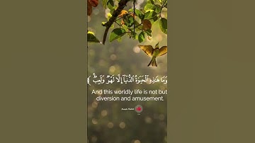 ما تيسر من سورة العنكبوت لشيخ ياسر الدوسري #قرآن #ياسر_الدوسري #سورةالعنكبوت#اكسبلور #دويتو #لايك
