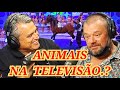 ANIMAIS NA TELEVISÃO.? RICHARD RASMUSSEN. DV CORTES. #animais #richardrasmussen #floresta