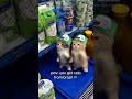 Takala Takala Cat Dance! 🐱💃 | The Viral Song Everyone is Looking For!#shortvideo