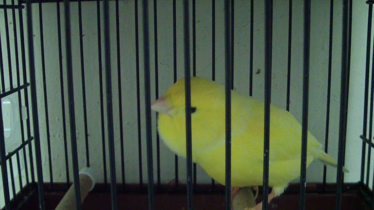 Waterslager Türkiye\55-146-2020-030