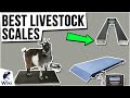 10 Best Livestock Scales 2021