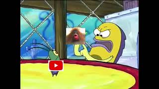 Kracc Bacc Termination In A Nutshell