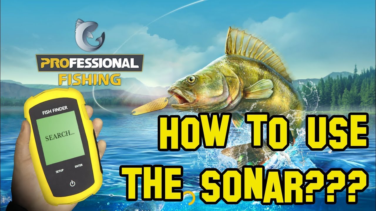 Professional Fishing 2018: How to use the sonar? 