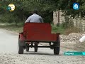 Xaçmaz rayon Qoçaqlı kəndində kənd təsərrüfatı texnikaları