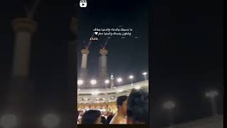 مانسيتك بالدعاء والدنيا جفاف وشلون انساك والدنيا مطر 🤍🎀 حالات واتساب