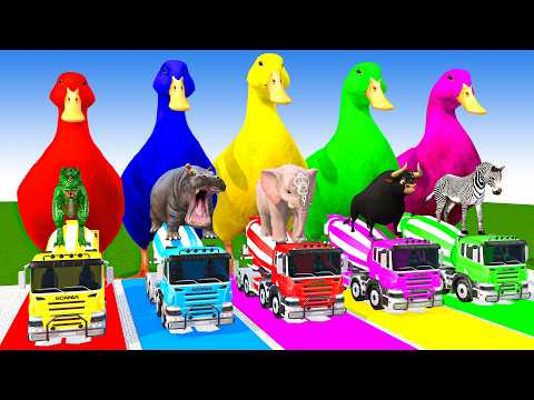 Long Slide Game With Cow Elephant Gorilla Hippopotamus Tiger 3d Animal Game Funny 3d Animals