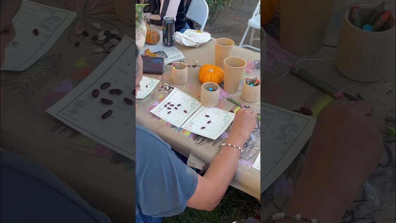 Sustainable Baby Shower B I N G O✨ 