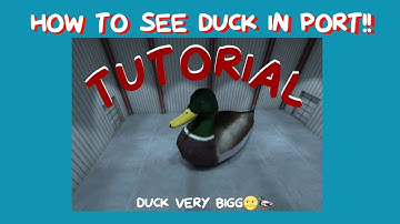 How to see the duck on Port || Glitch | Critical Ops 1.21
