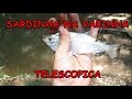 VARINHA TELESCOPICA CANTOU