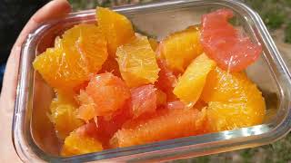 Delicious Citrus Salad Recipe + EASILY Segment an Orange (Vegan, WFPB)